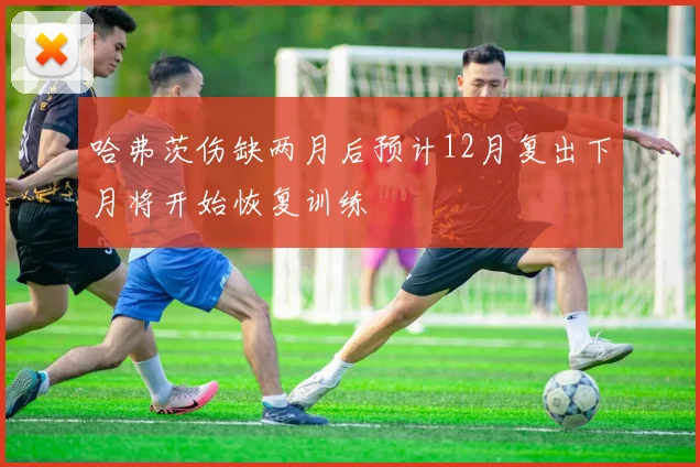 哈弗茨伤缺两月后预计12月复出下月将开始恢复训练