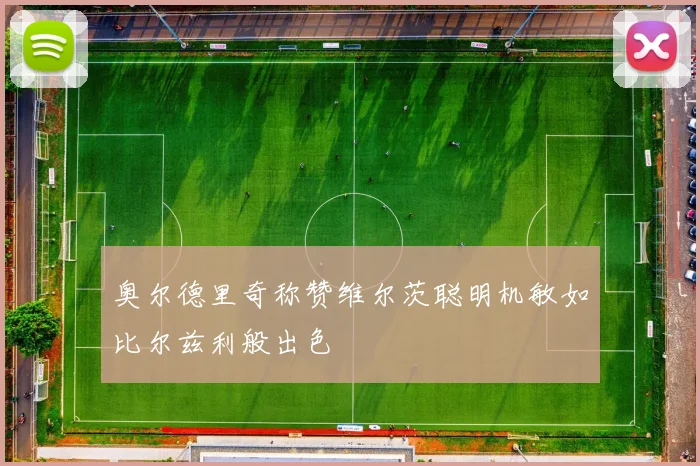 奥尔德里奇称赞维尔茨聪明机敏如比尔兹利般出色