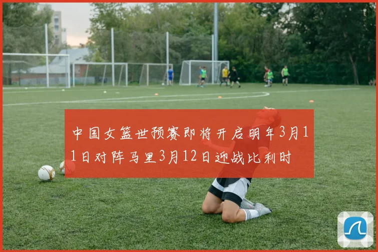 中国女篮世预赛即将开启明年3月11日对阵马里3月12日迎战比利时